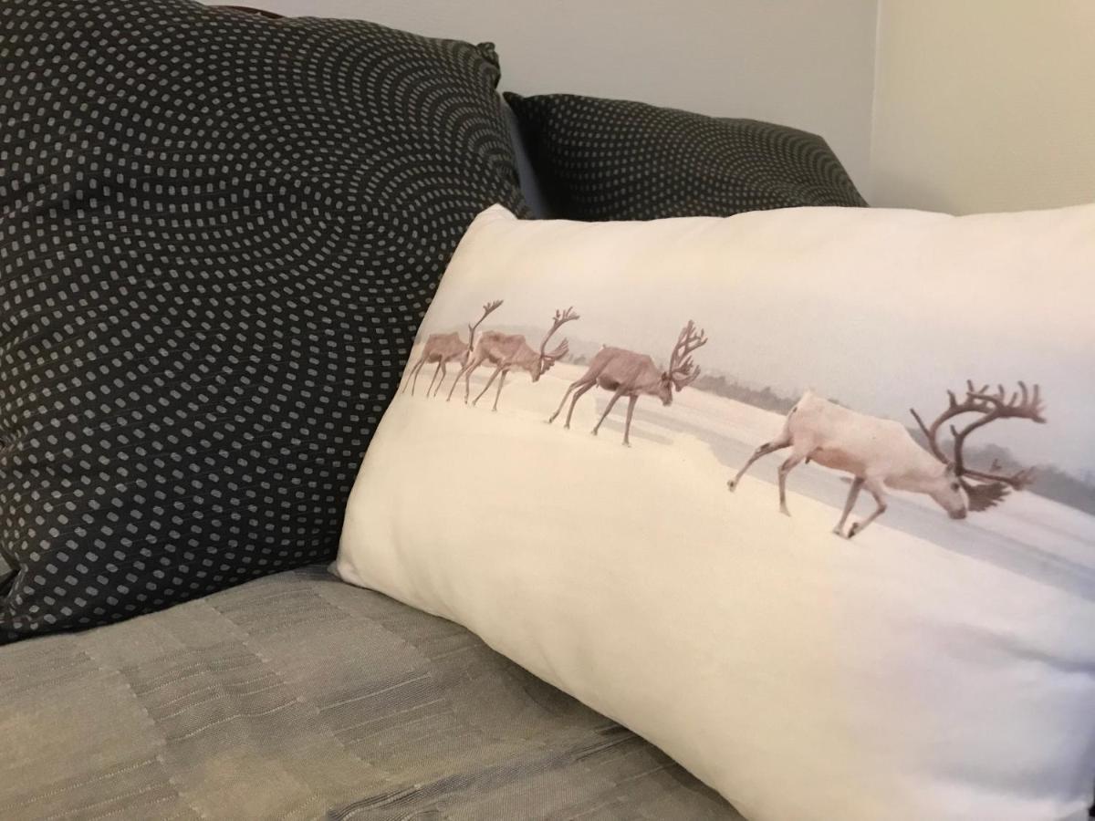 רובניימי Arctic Sofia Riverstudio מראה חיצוני תמונה