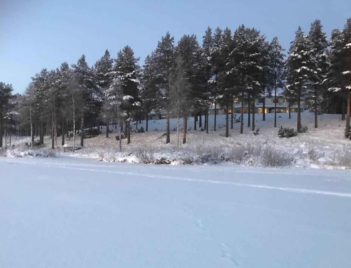 רובניימי Arctic Sofia Riverstudio מראה חיצוני תמונה